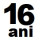16 ani